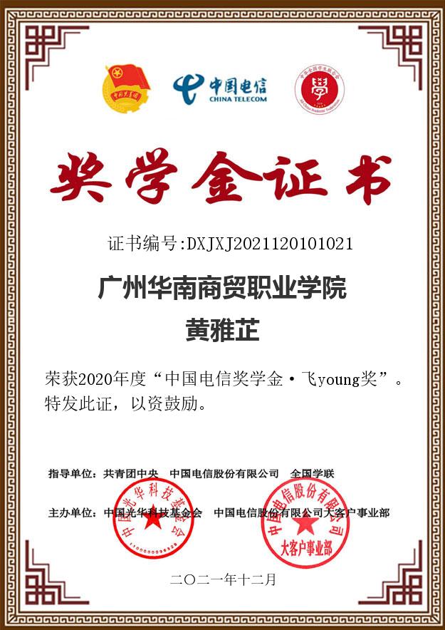 2020年度“中国电信奖学金·飞young奖”